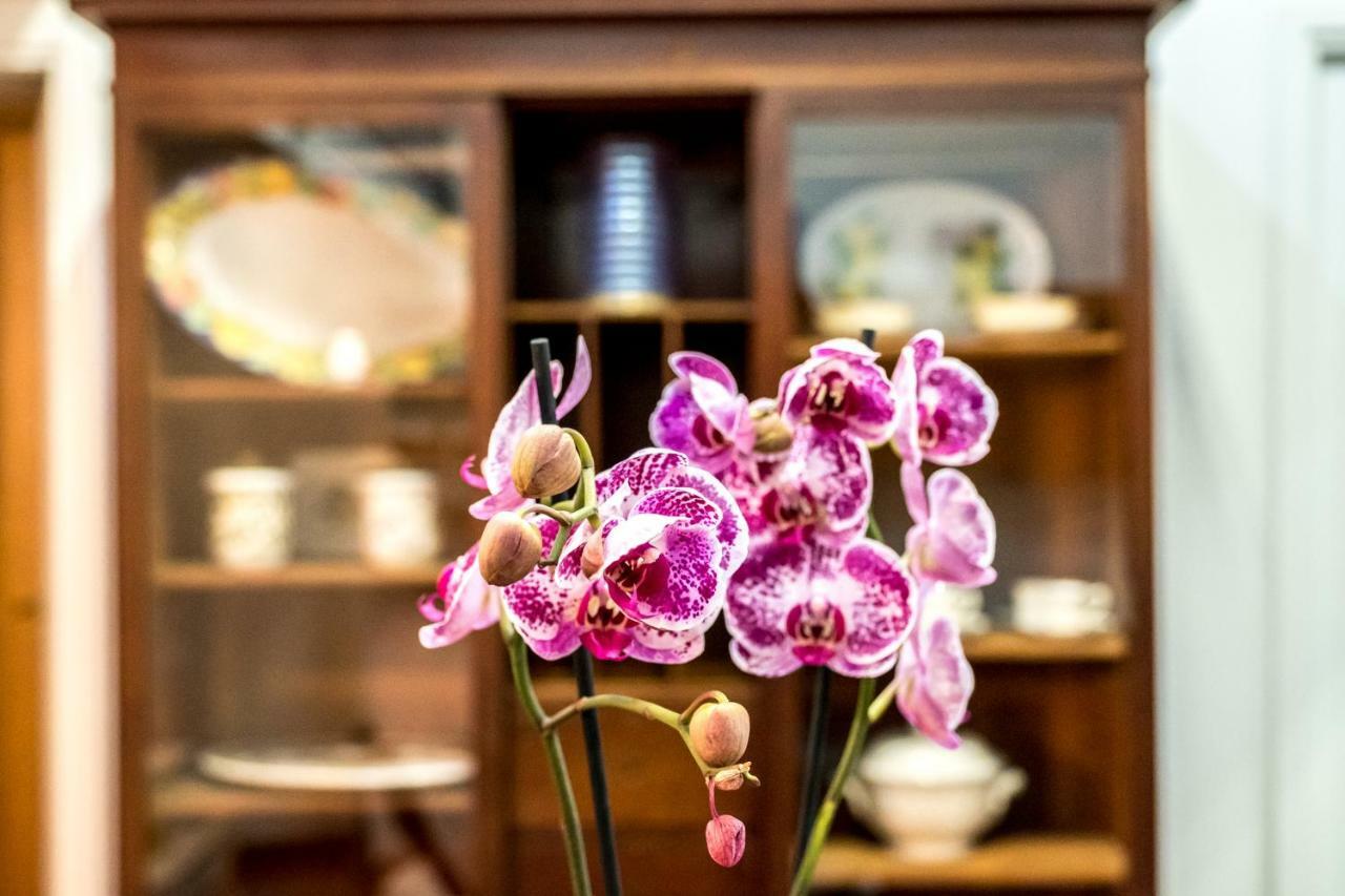 Hotel Il Salotto Di Nonna Cornelia 2 Napoli Esterno foto